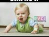 Funny Status (12)
