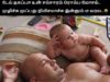 Funny Status (19)