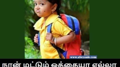 Funny Status (25)