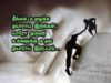 Inspirational Statu (5)