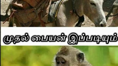 First Son in Family & Second Son in Family