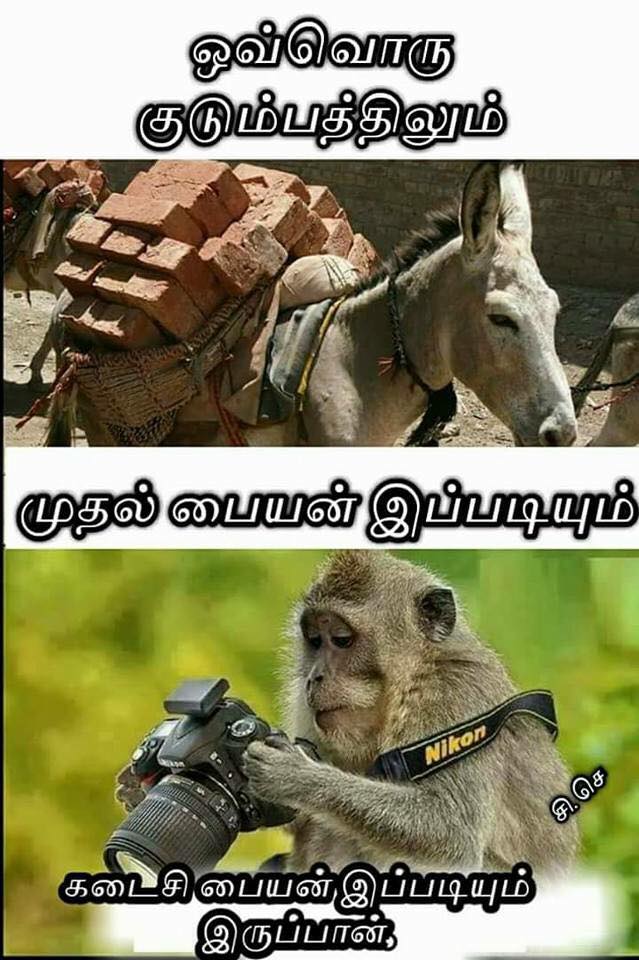 First Son in Family & Second Son in Family