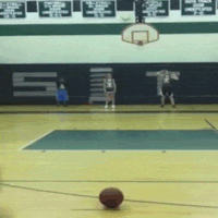 Funny Gif (10)