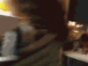 Funny Gif (12)