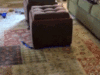 Funny Gif (13)