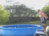 Funny Gif (19)