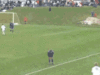 Funny Gif (6)