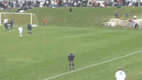 Funny Gif (6)