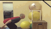 Funny Gif (9)