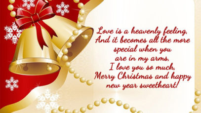 Happy-Merry-Christmas-Whatsapp-Status-Message (5)