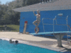 giphy-downsized (2)