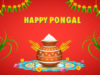 Happy-Pongal-Wishes (7)
