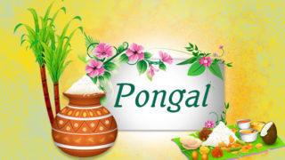 Happy-Pongal-Wishes (9)