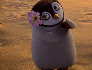 facebook-commed-animation-1