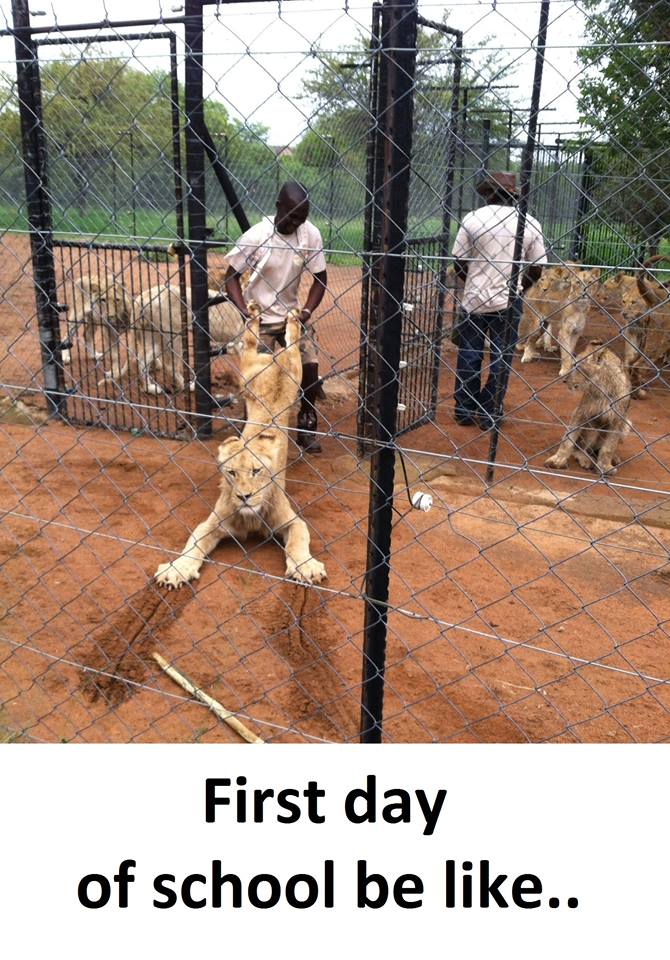 First Day School