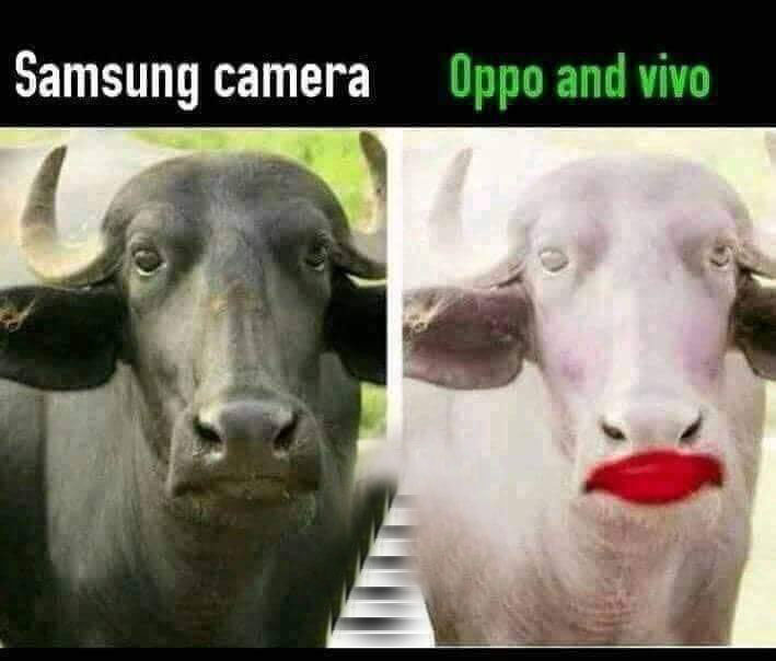 Samsung Camera vs Vivo oppo Camera