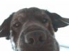 Front Camera
