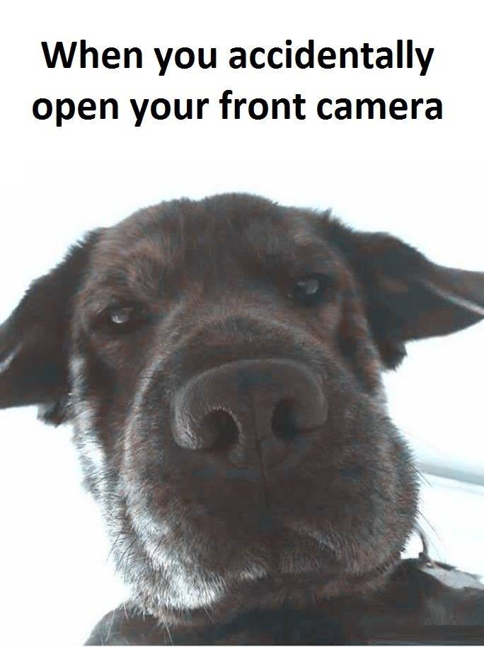 Funny memes