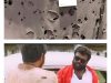 Funny memes