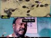 Funny memes33