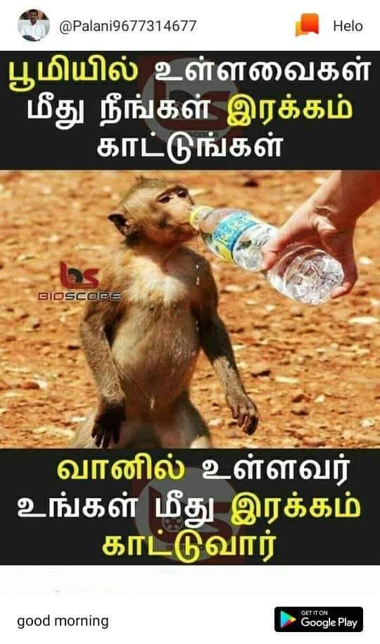 Funny memes