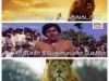 memes