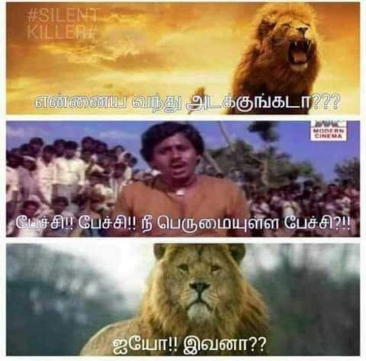 Funny memes
