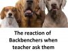 Funny memes