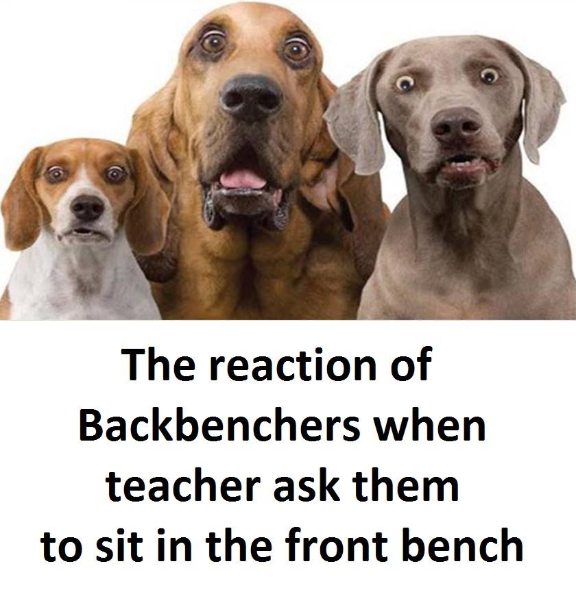 Funny memes