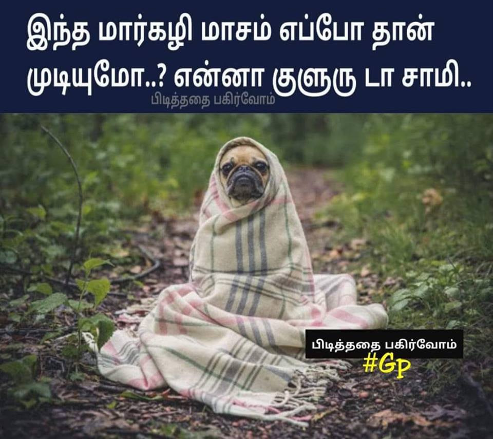 Funny memes