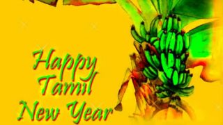 happy-new-year-images-2019