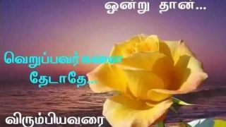 Life Quote Good Morning