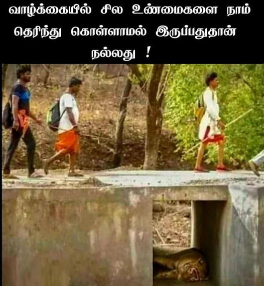 hide some true is good for life