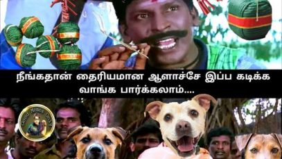 When Dewili Festival