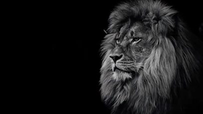 silence specks when words cant talk