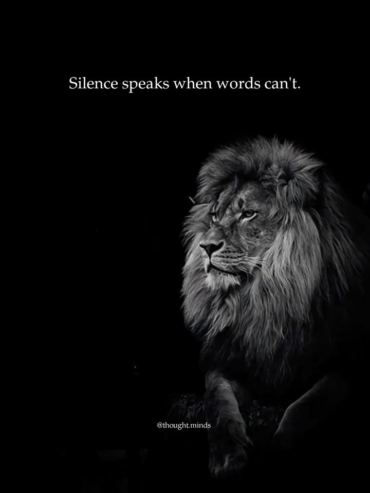 silence specks when words cant talk