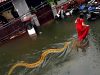 105 Luckiest People Ever Caught on Camera