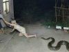 CCTV Caught What Nobody Expected