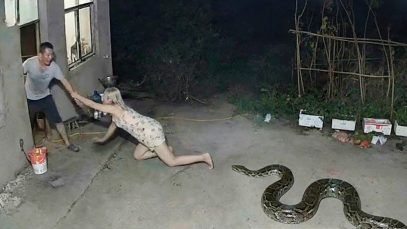 CCTV Caught What Nobody Expected