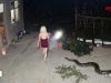 Damn Nature You Scary | Rare and Scary Animal Encounters