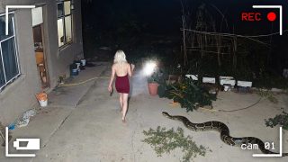 Damn Nature You Scary | Rare and Scary Animal Encounters