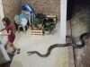 Damn Nature You Scary | Rare and Scary Animal Encounters