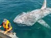 Most Incredible Incidents at Sea Caught on Camera
