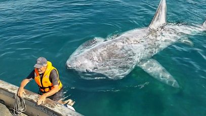 Most Incredible Incidents at Sea Caught on Camera